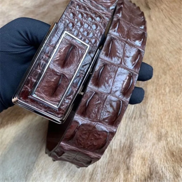 genuine crocodile hornback skin belt