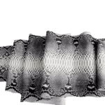 snake skin