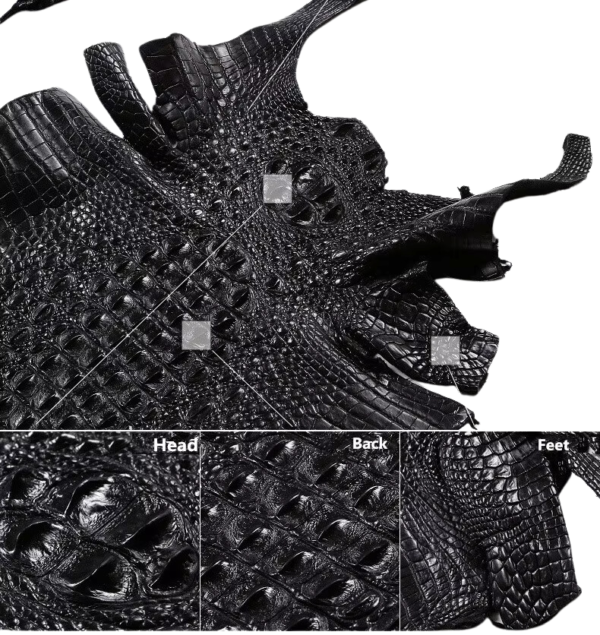 crocodile skin