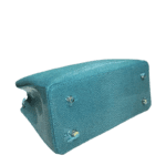 Stingray Skin Shoulder Bag-alt5