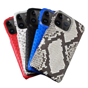 python phone case