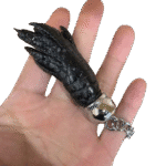 Real Crocodile Foot Keychain