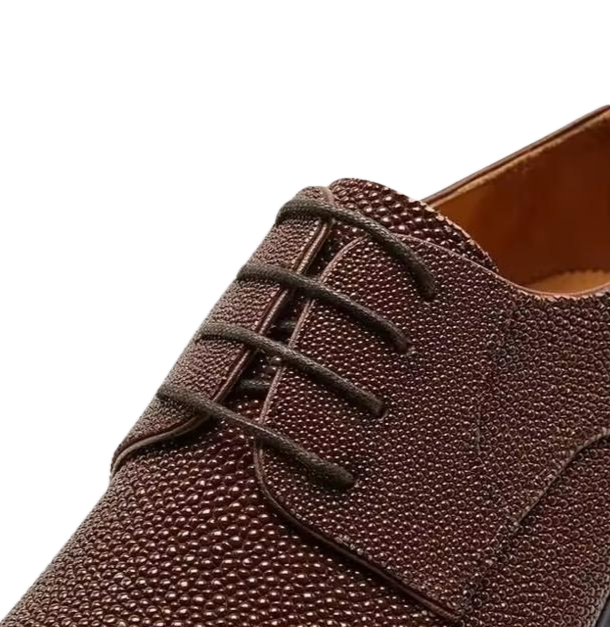 Men's Stingray Leather Derby