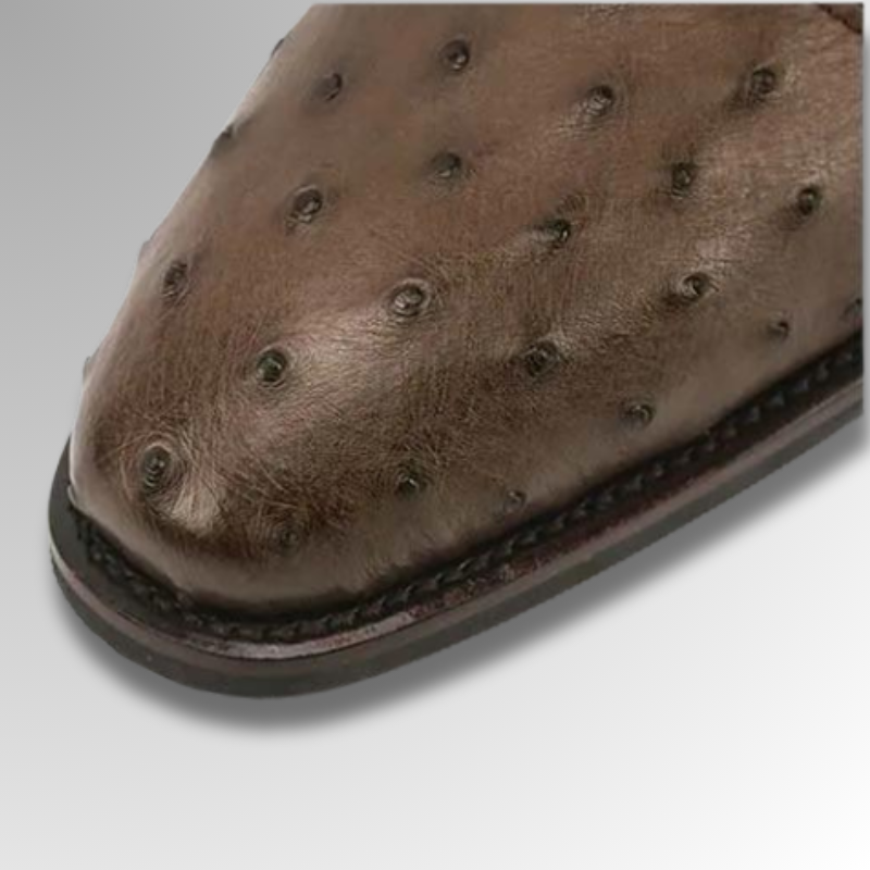 Ostrich Leather Monk Shoes-alt7