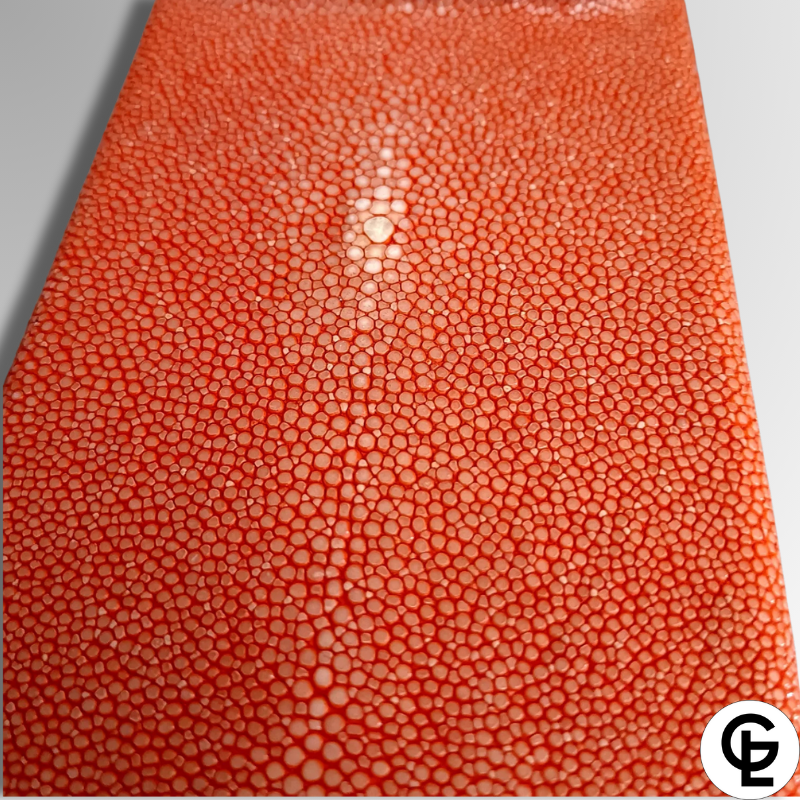 Stingray Leather iPhone Case-alt6