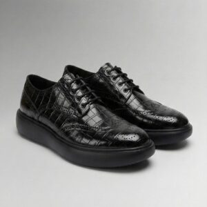 Crocodile Aero Derby