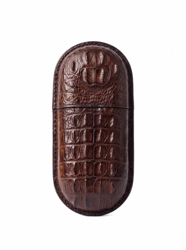 Brown Gubbio Crocodile Glasses Case, front view