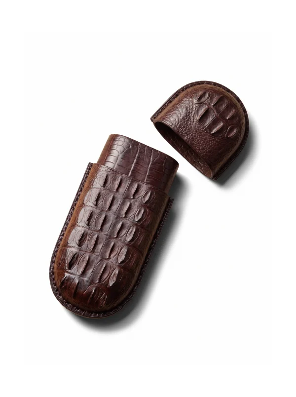 Brown Gubbio Crocodile Glasses Case, lid removed