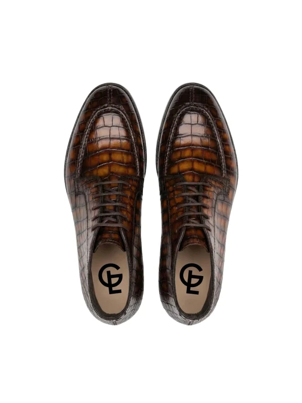 Brown Vittore Alligator Derby Shoes, top view
