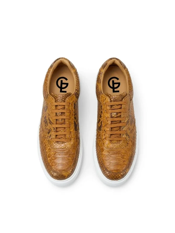 Camel Montferrat Python Sneakers, top view